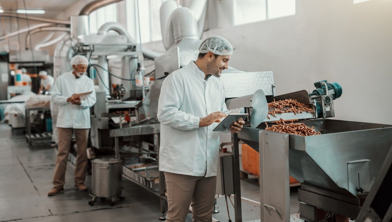 Explore Food Processing Automation Machines: Basics, Facts, and Key Knowledge