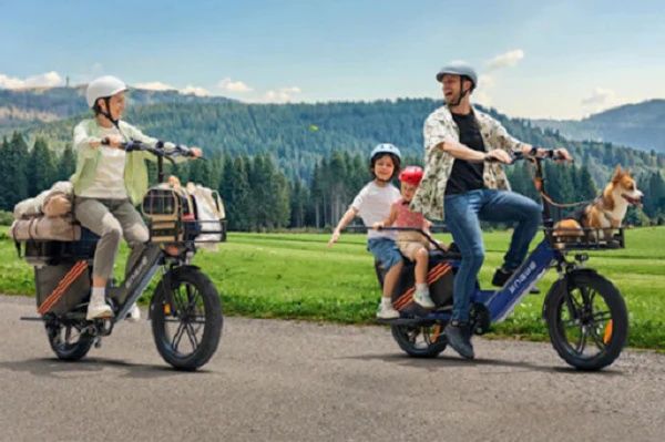 Explore Electric Cargo Bikes: A Complete Guide with Basics, Insights, and Practical Information