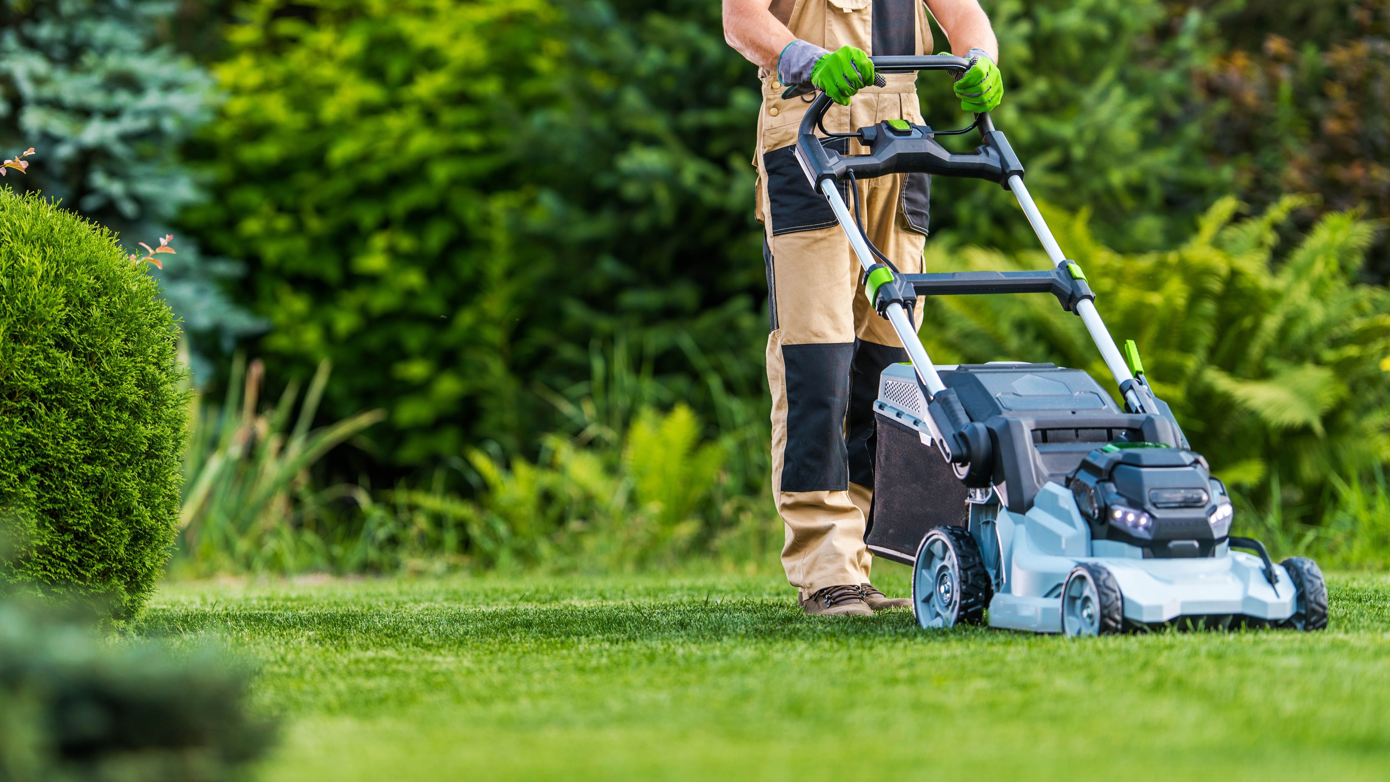 Electric Lawn Mowers Guide: Explore Basics, Features, and Key Knowledge