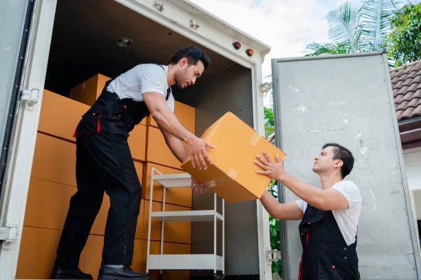 Explore Moving Services Overview: Essential Guide, Basics, and Key Information