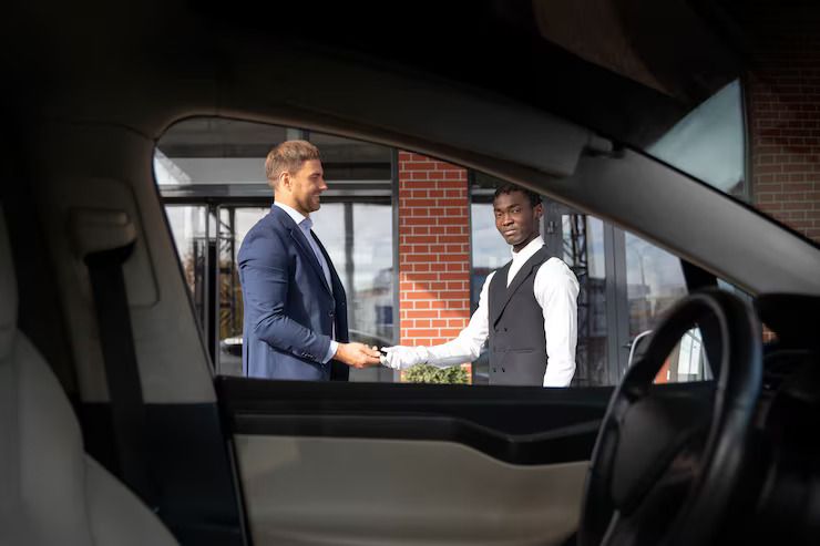 Chauffeur Explanation: Discovering Professional Driving Standards